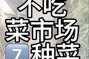 雷竞技客服打不开截图0